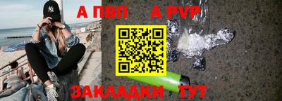 спайс Гай