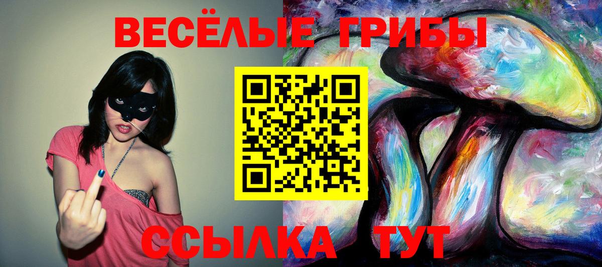 купить   Вход с VPN  Верхняя Салда  Галлюциногенные грибы Psilocybine cubensis 