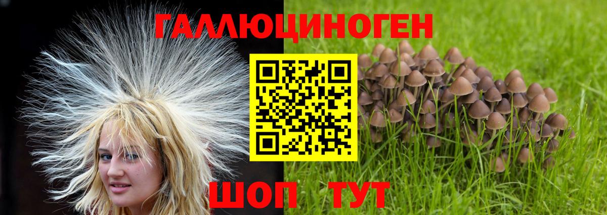 Псилоцибиновые грибы MAGIC MUSHROOMS Верхняя Салда